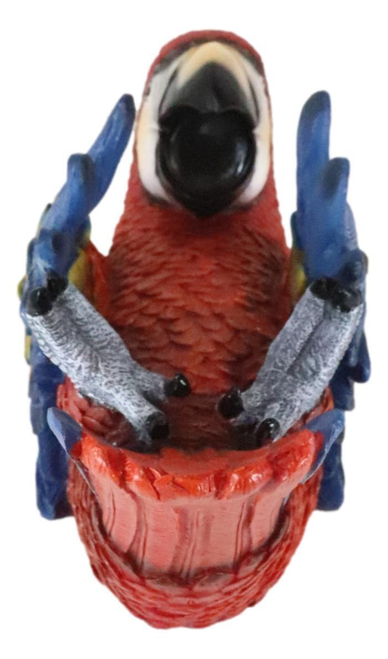 Red Scarlet Macaw Parrot Wine Bottle and Salt Pepper Shakers Holder Figurine Set